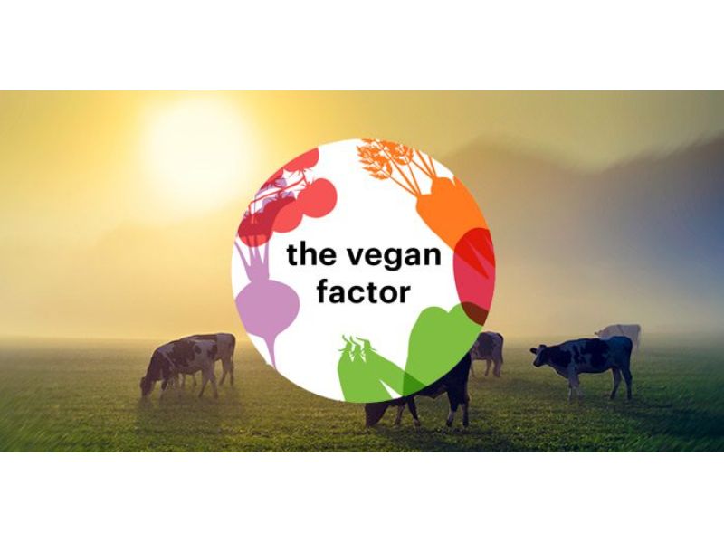 VEGANS